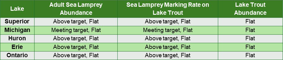 Chart showing sea lamprey abundance, wounds on lake trout and lake trout abundance for each great lake.  In Lake Superior the adult sea lamprey abundance index is above target and holding steady; the sea lamprey marking rate on lake trout is above target and holding steady; and, lake trout abundance is steady.  In Lake Michigan the adult sea lamprey abundance index is meeting target and holding steady; the sea lamprey marking rate on lake trout is above target and decreasing; and, lake trout abundance is steady.  In Lake Huron the adult sea lamprey abundance index is above target and holding steady; the sea lamprey marking rate on lake trout is above target and holding steady; and, lake trout abundance is steady.  In Lake Erie the adult sea lamprey abundance index is above target and holding steady; the sea lamprey marking rate on lake trout is above target and holding steady; and, lake trout abundance is steady.  In Lake Ontario the adult sea lamprey abundance index is meeting target and holding steady; the sea lamprey marking rate on lake trout is meeting target and decreasing; and, lake trout abundance is steady.